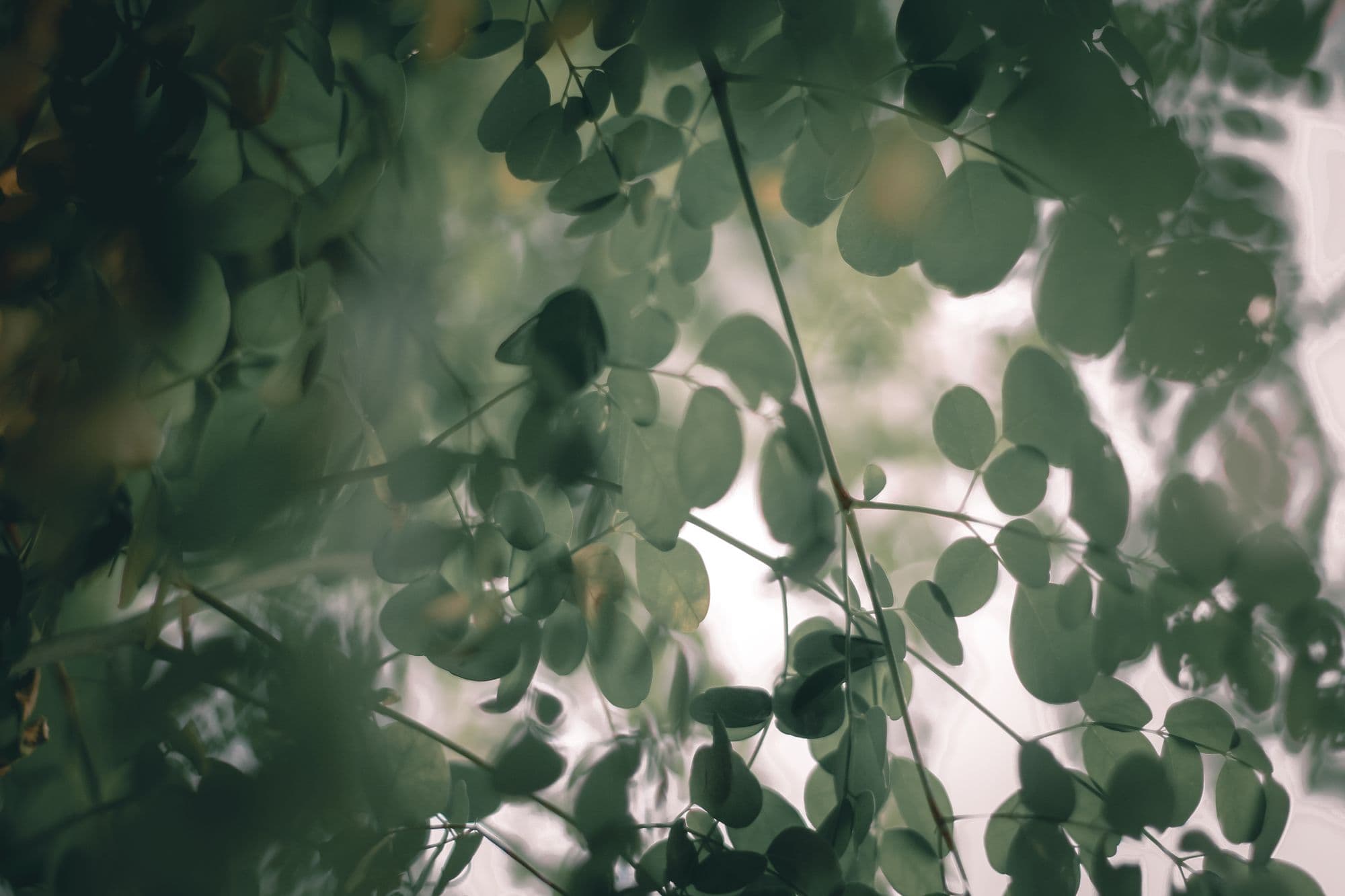 Photo via Pexels